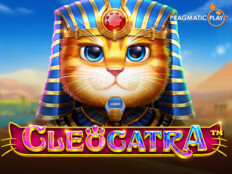 Free casino slot games download84